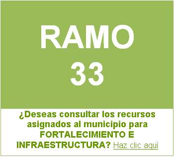 RAMO 33